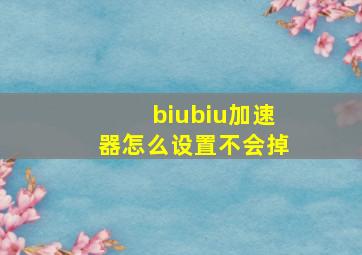 biubiu加速器怎么设置不会掉