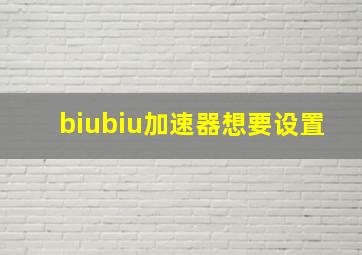 biubiu加速器想要设置