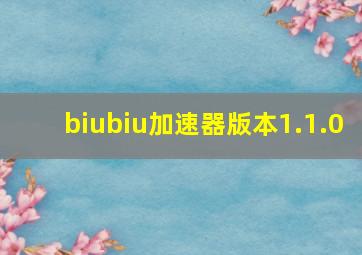 biubiu加速器版本1.1.0