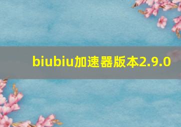 biubiu加速器版本2.9.0