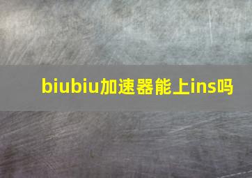 biubiu加速器能上ins吗