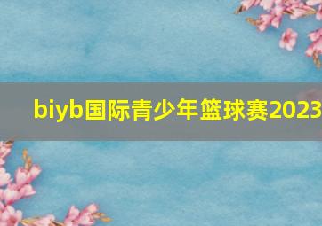 biyb国际青少年篮球赛2023