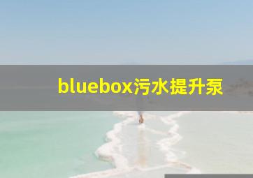 bluebox污水提升泵