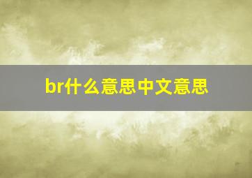 br什么意思中文意思