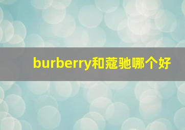 burberry和蔻驰哪个好