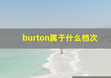 burton属于什么档次