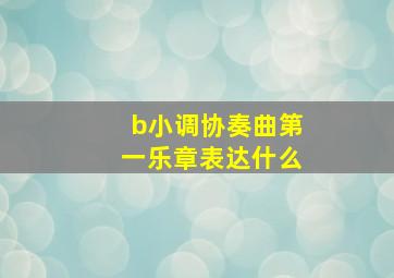 b小调协奏曲第一乐章表达什么