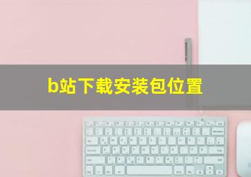 b站下载安装包位置