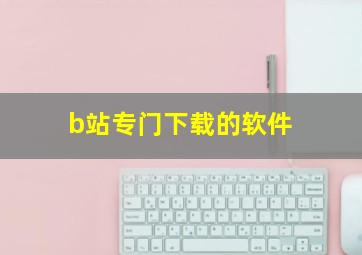 b站专门下载的软件