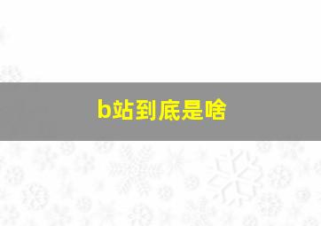 b站到底是啥