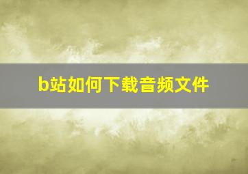 b站如何下载音频文件