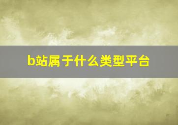 b站属于什么类型平台