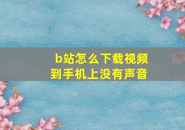 b站怎么下载视频到手机上没有声音