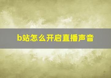 b站怎么开启直播声音