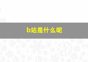 b站是什么呢