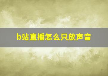 b站直播怎么只放声音