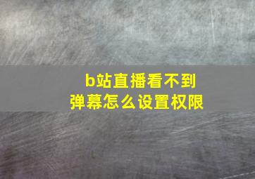 b站直播看不到弹幕怎么设置权限