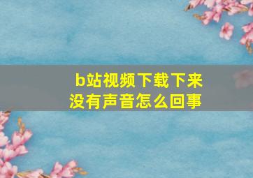 b站视频下载下来没有声音怎么回事