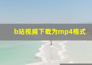 b站视频下载为mp4格式