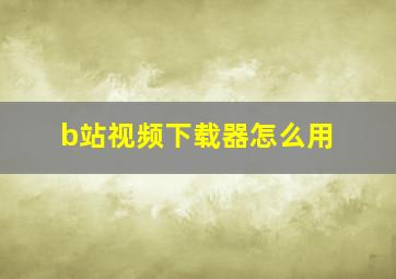 b站视频下载器怎么用