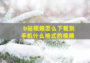 b站视频怎么下载到手机什么格式的视频