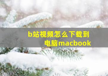 b站视频怎么下载到电脑macbook