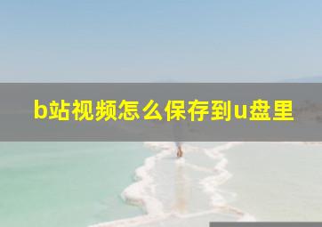 b站视频怎么保存到u盘里