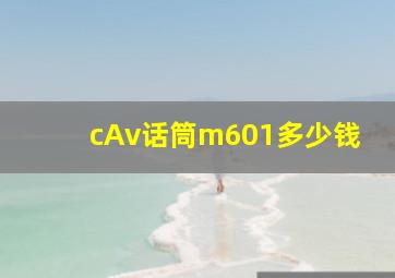 cAv话筒m601多少钱