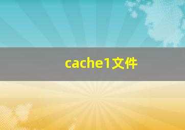 cache1文件