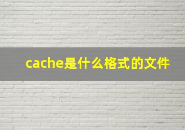 cache是什么格式的文件