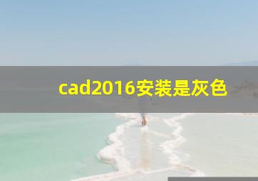 cad2016安装是灰色