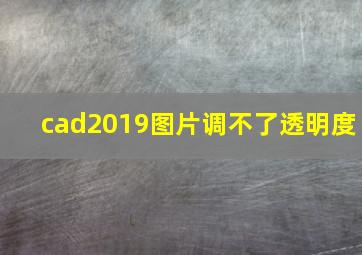 cad2019图片调不了透明度