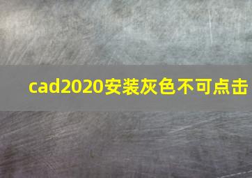 cad2020安装灰色不可点击