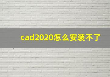 cad2020怎么安装不了