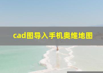 cad图导入手机奥维地图