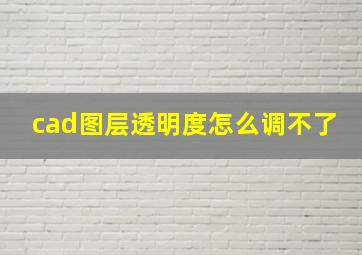 cad图层透明度怎么调不了