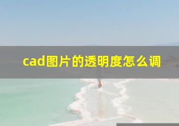 cad图片的透明度怎么调