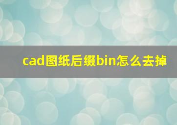 cad图纸后缀bin怎么去掉