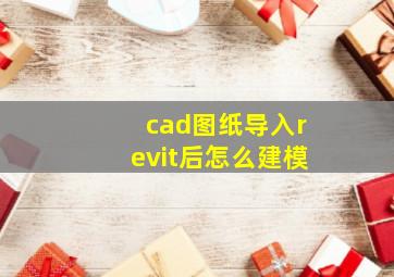 cad图纸导入revit后怎么建模