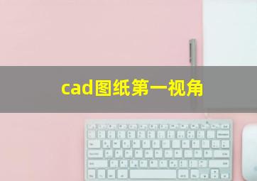 cad图纸第一视角