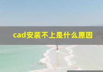 cad安装不上是什么原因