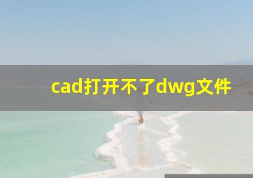 cad打开不了dwg文件