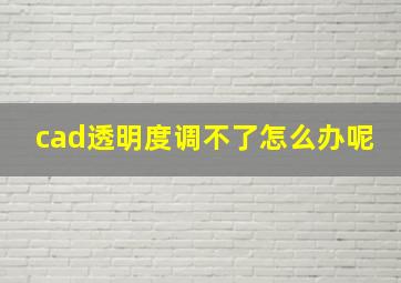 cad透明度调不了怎么办呢