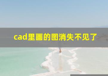 cad里画的图消失不见了