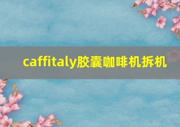 caffitaly胶囊咖啡机拆机