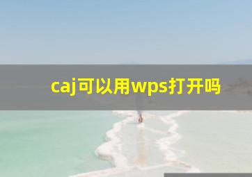 caj可以用wps打开吗