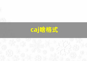 caj啥格式