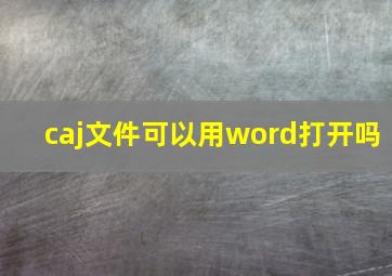 caj文件可以用word打开吗