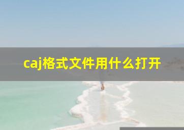 caj格式文件用什么打开