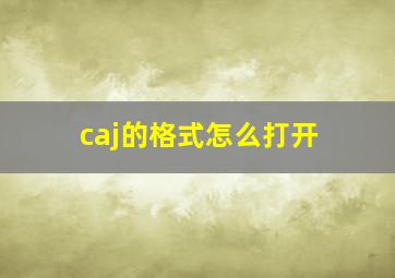 caj的格式怎么打开